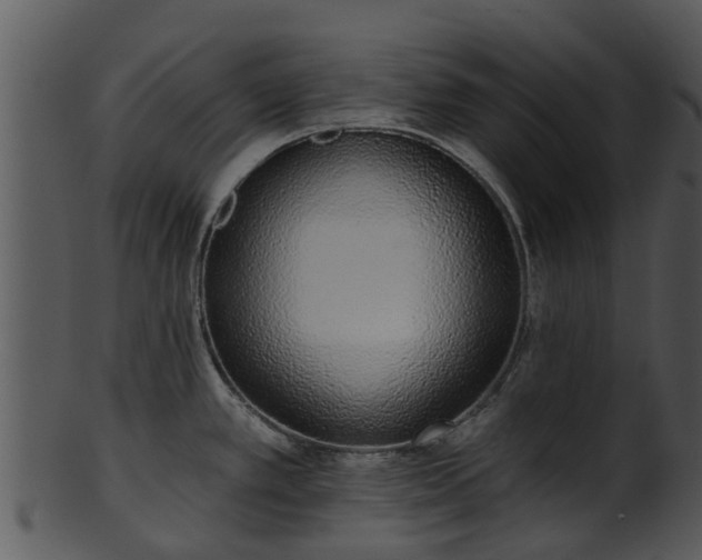 X0000101421389200807141144