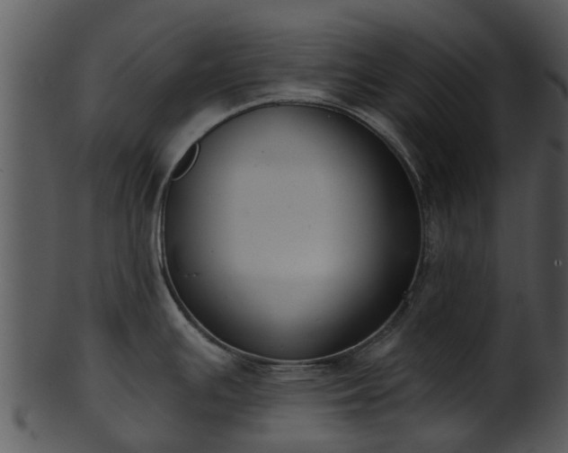 X0000101421391200807141144