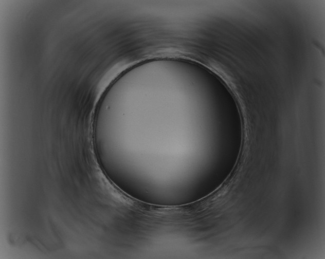 X0000101421392200807141144