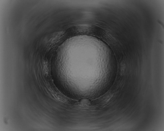 X0000101421394200807141143