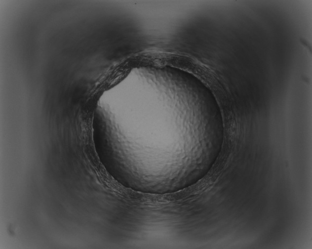X0000101421397200807141143