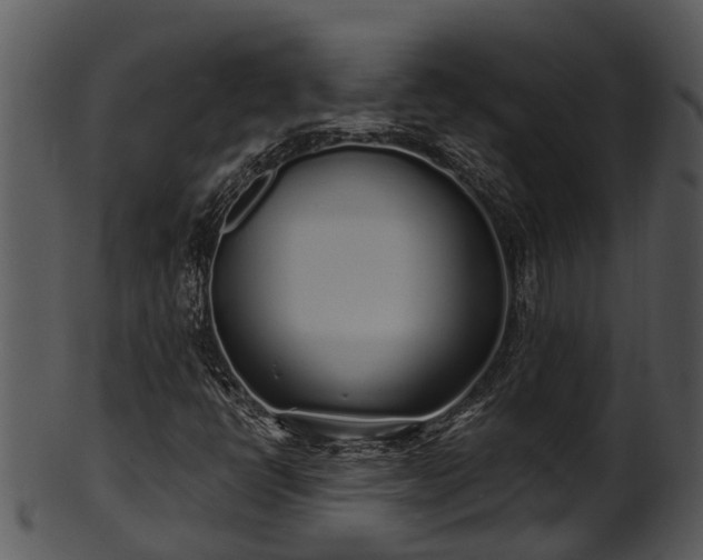 X0000101421398200807141143