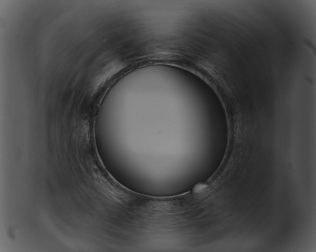 X0000101421402200807141143