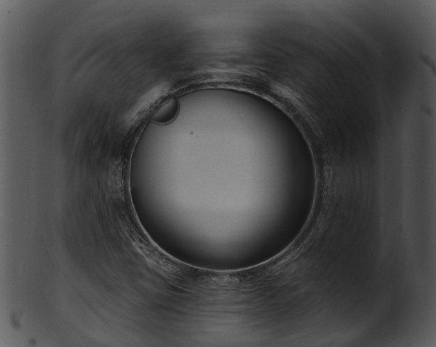 X0000101421403200807141143
