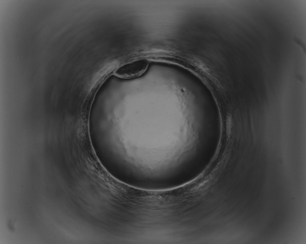 X0000101421405200807141143