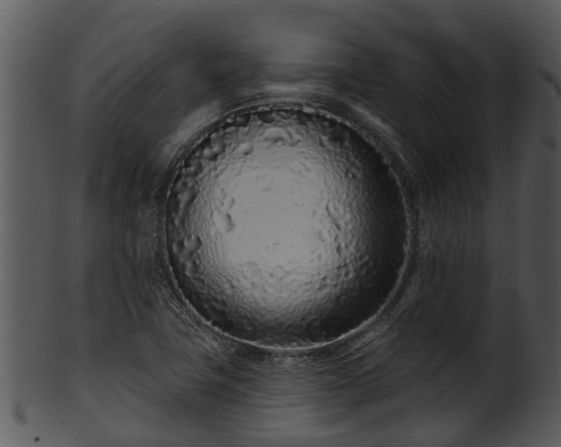 X0000101421411200807141143
