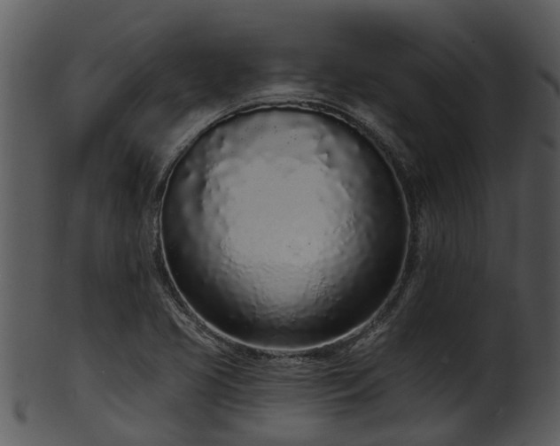 X0000101421413200807141143