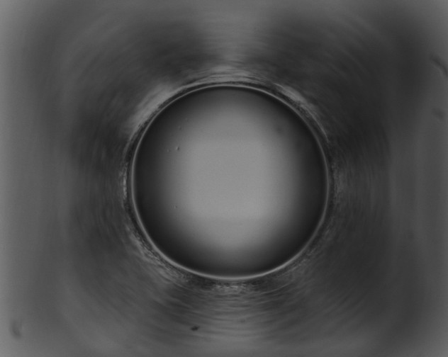 X0000101421415200807141143