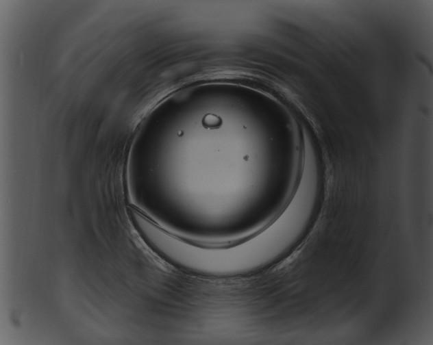 X0000101421417200807141143