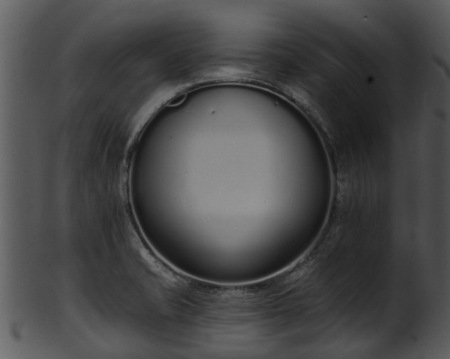 X0000101421421200807141143