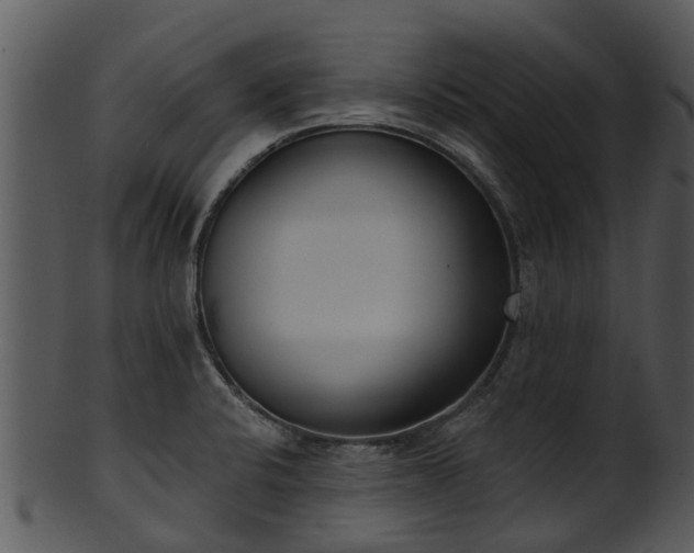 X0000101421424200807141143