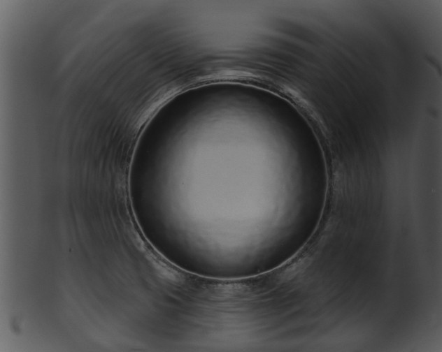 X0000101421425200807141144
