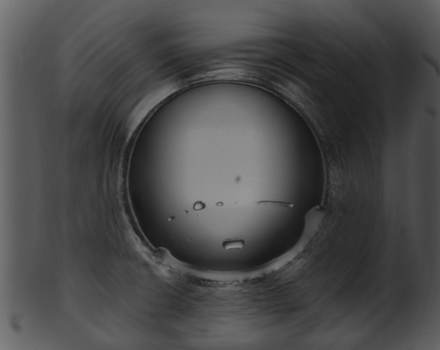 X0000101421426200807141144