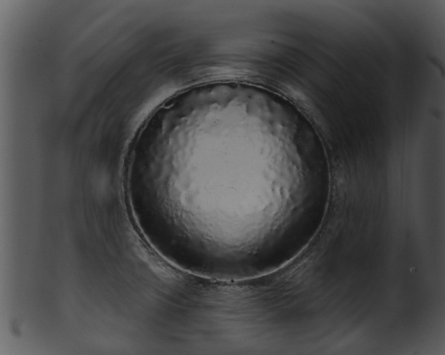 X0000101421427200807141144