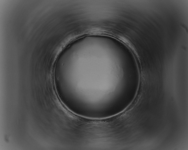 X0000101421429200807141144