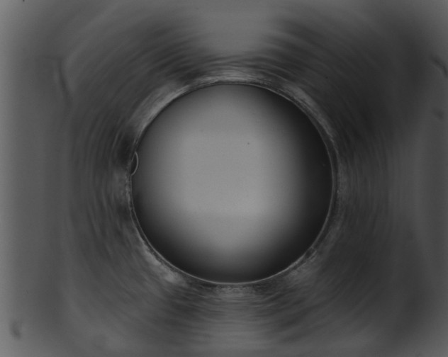 X0000101421433200807141144