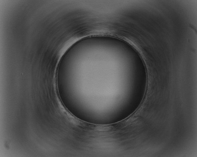 X0000101421440200807141144