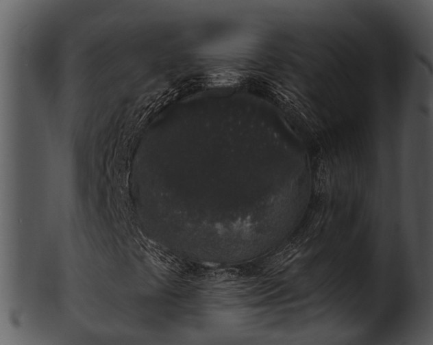 X0000101421441200807141143