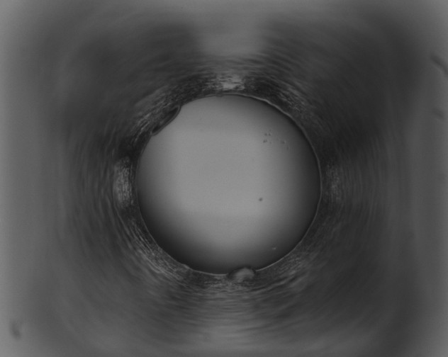 X0000101421442200807141143