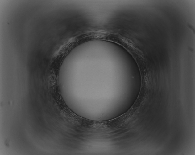 X0000101421447200807141143