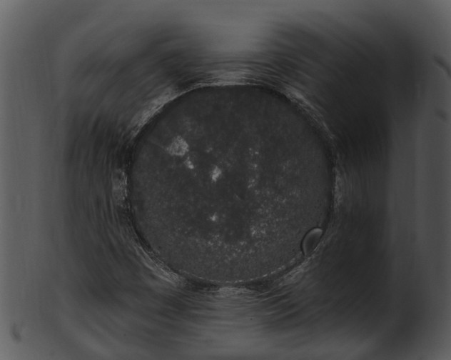 X0000101421449200807141143