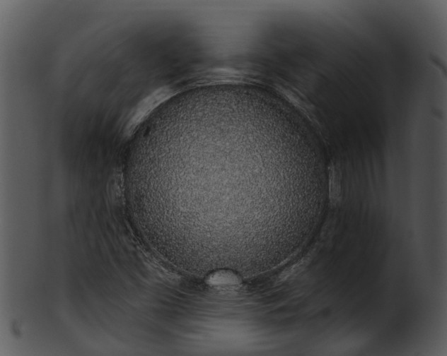 X0000101421453200807141143