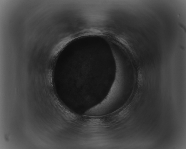 X0000101421455200807141143