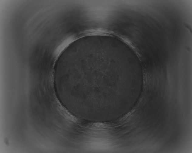 X0000101421463200807141143