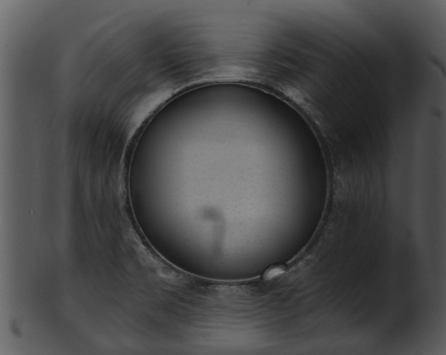 X0000101421469200807141142