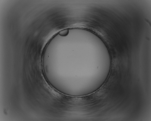 X0000101421470200807141142