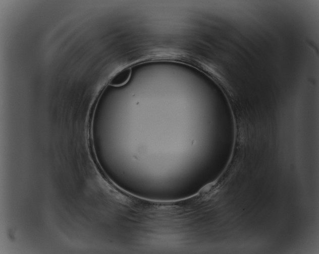 X0000101421471200807141142