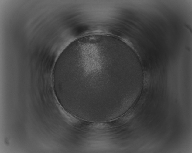 X0000101421474200807141142