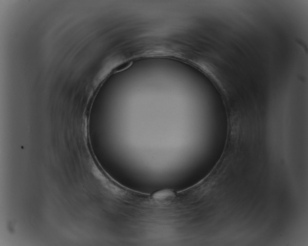 X0000101421476200807141142