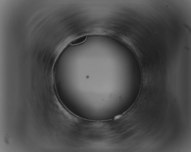X0000101421479200807141142