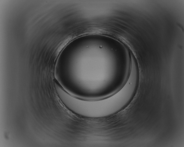 X0000101421481200807141142