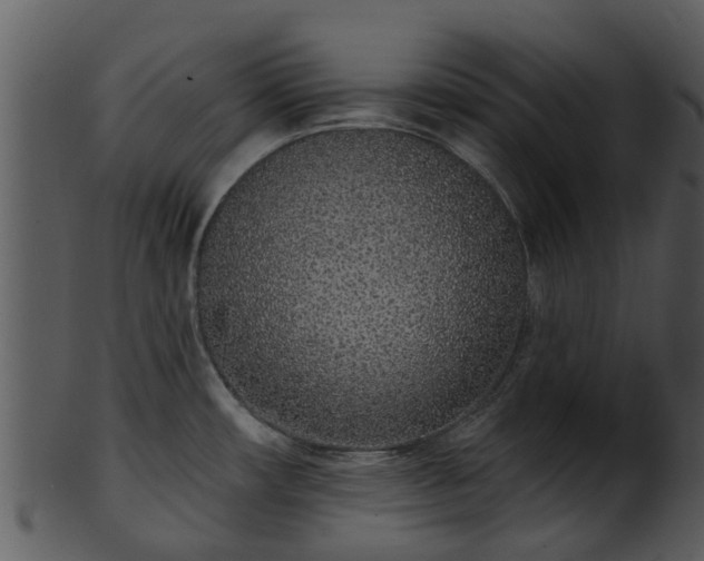 X0000101421482200807141142