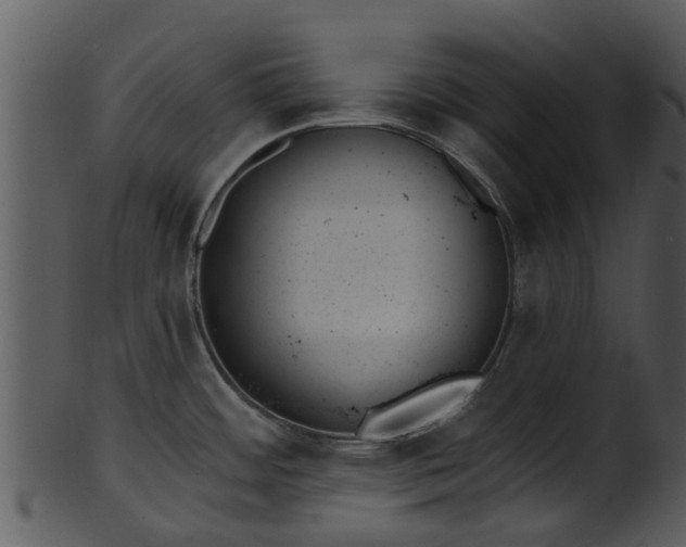 X0000101421484200807141142