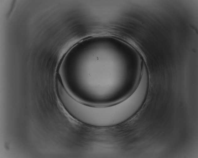 X0000101421485200807141142