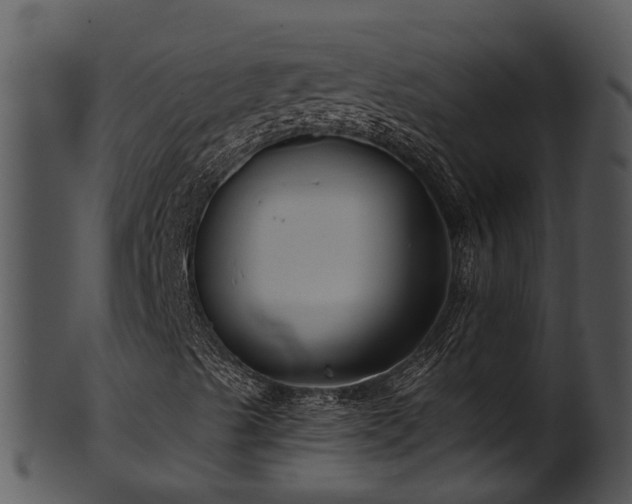 X0000101421489200807141142