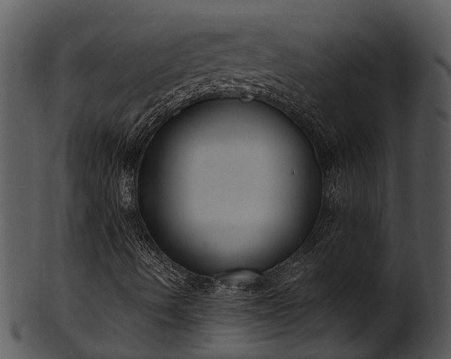 X0000101421490200807141142