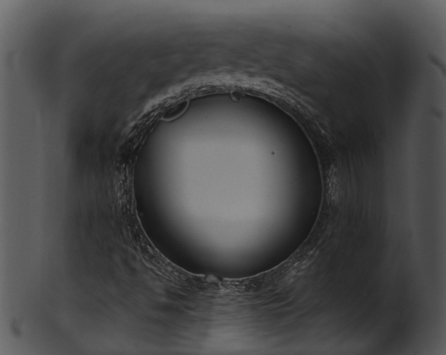 X0000101421494200807141142