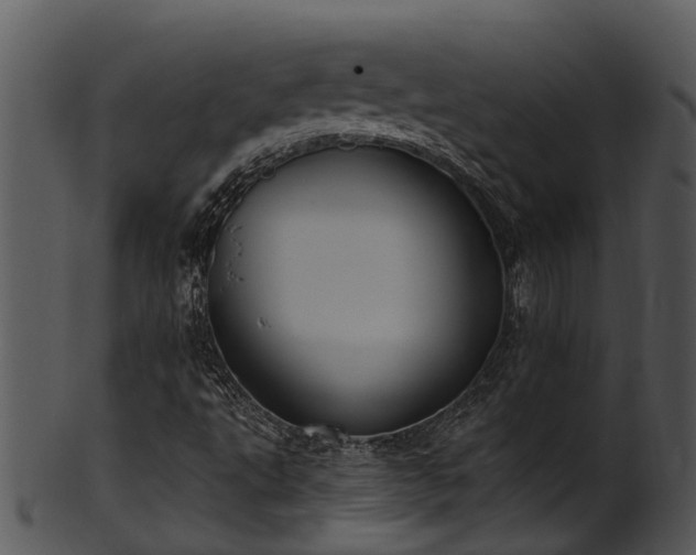 X0000101421495200807141142