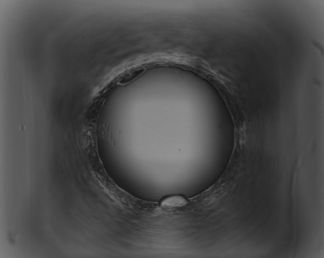X0000101421496200807141142