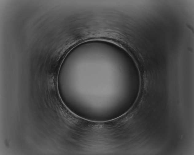 X0000101421497200807141142