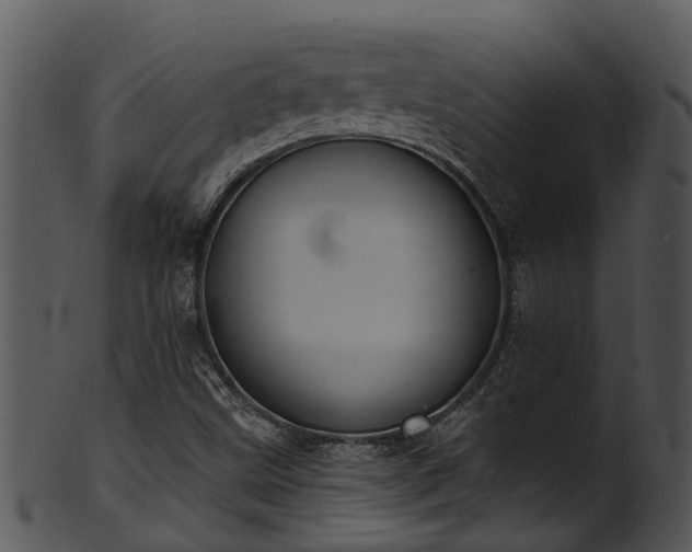 X0000101421499200807141142