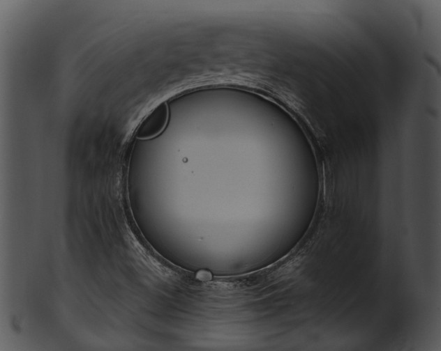 X0000101421500200807141142