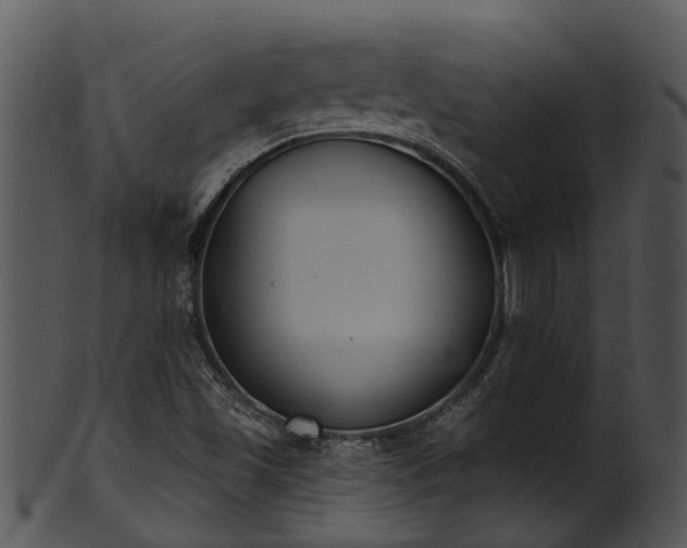 X0000101421501200807141142