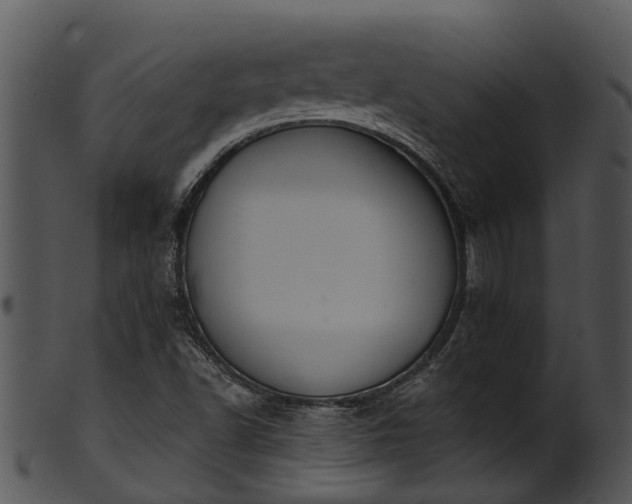 X0000101421502200807141142