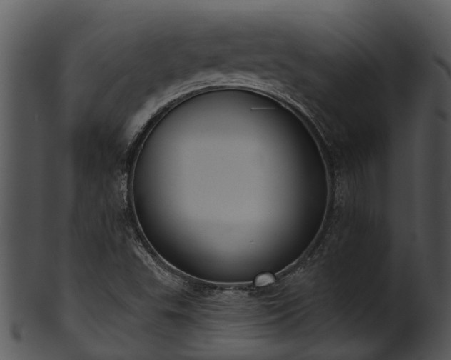 X0000101421503200807141142