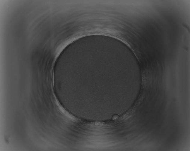 X0000101421515200807141142